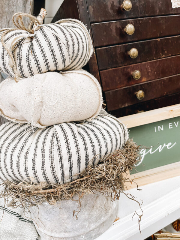 neutral farmhouse pumpkins in cement planter