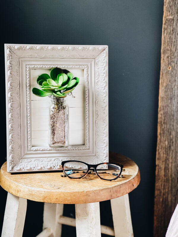 succulent frame makeover