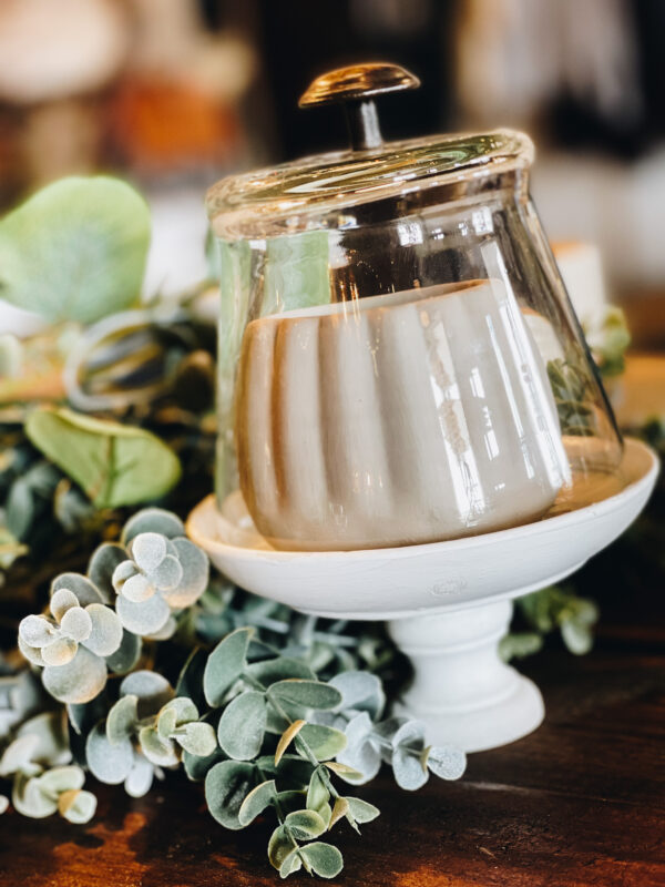 Garden Cloche Dollar Store DIY, How to Keep Pests Away from Young Plants -  Joyfully Treasured