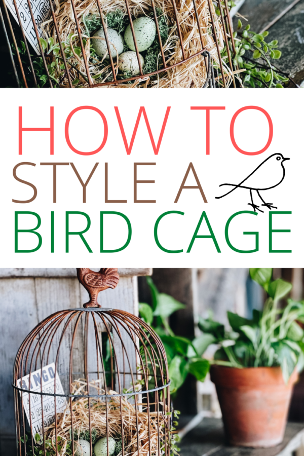 Rustic Metal Wall Bird Cage Planters  Hanging bird cage, Bird cage decor,  Vintage bird cage