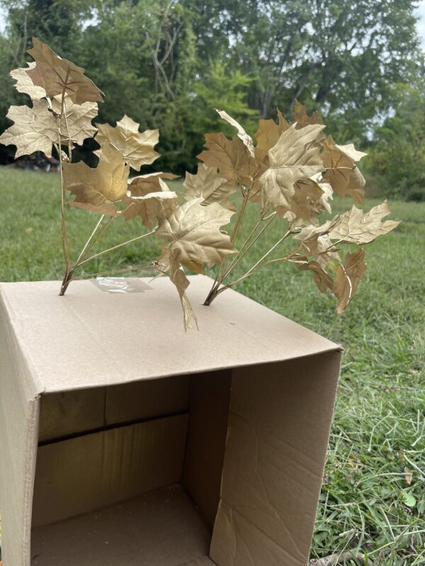 gold dollar tree leaves