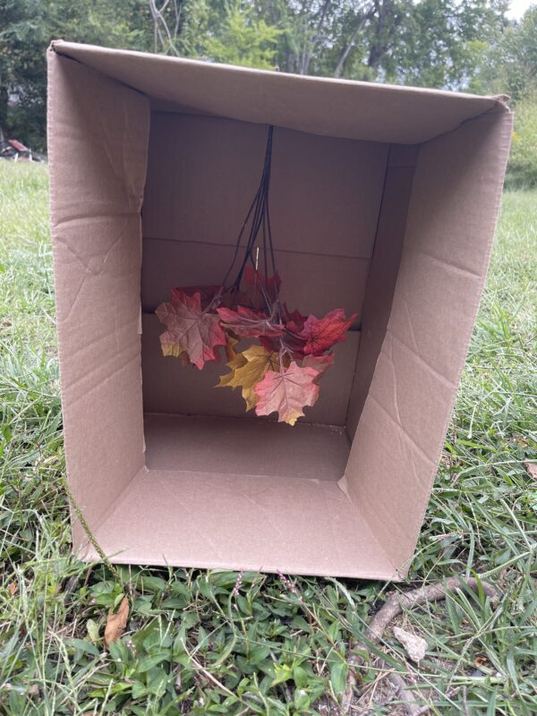 spray paint dollar tree leaves